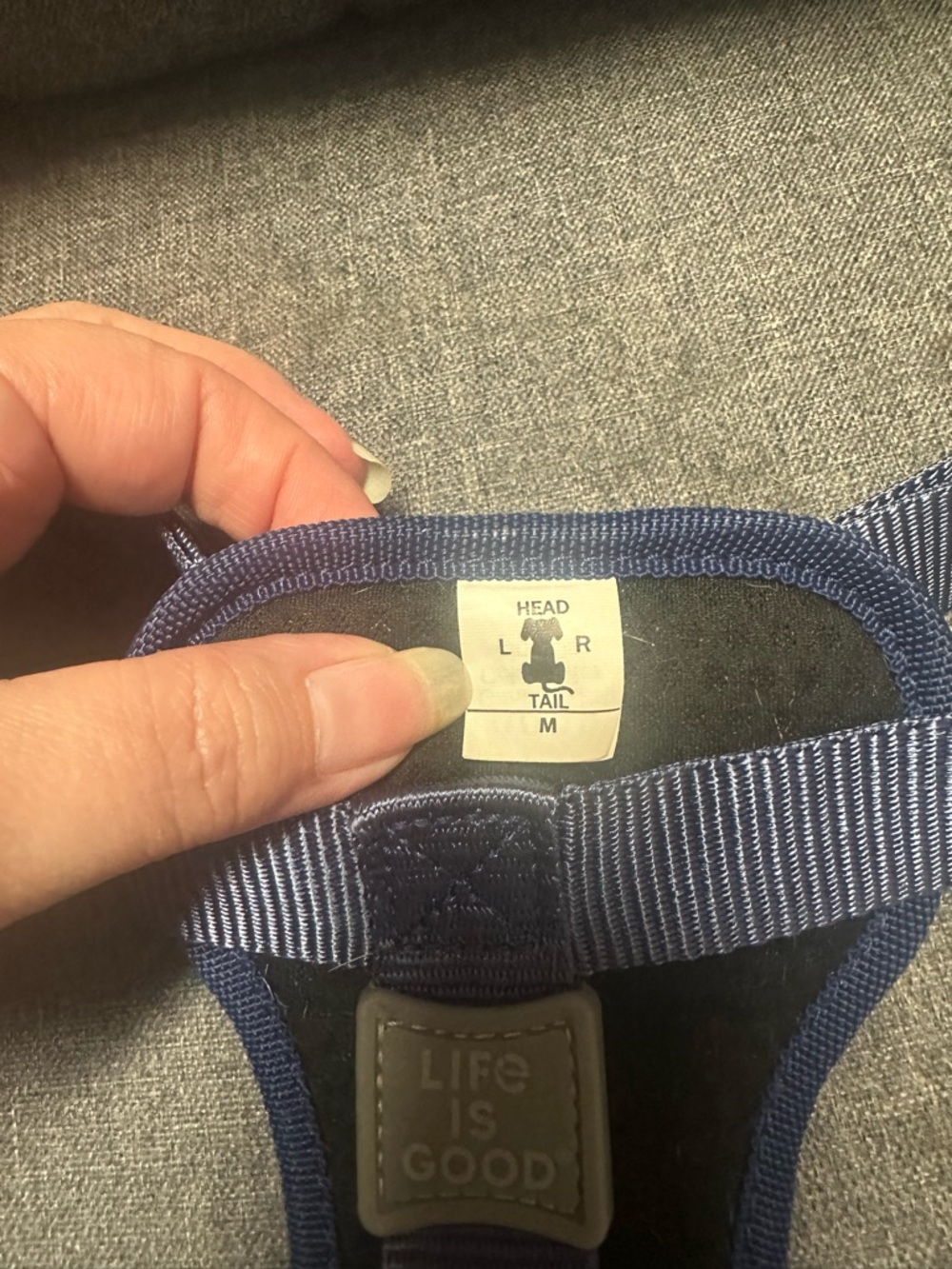 Life is Good Daisy Dog Harness- Baja Yellow - Picture 8 of 8